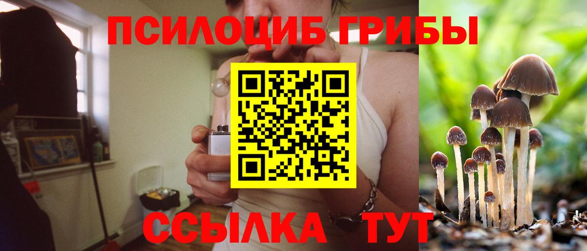 Псилоцибиновые грибы прущие грибы  Вход с VPN  Галлюциногенные грибы ЛСД  Курчатов 